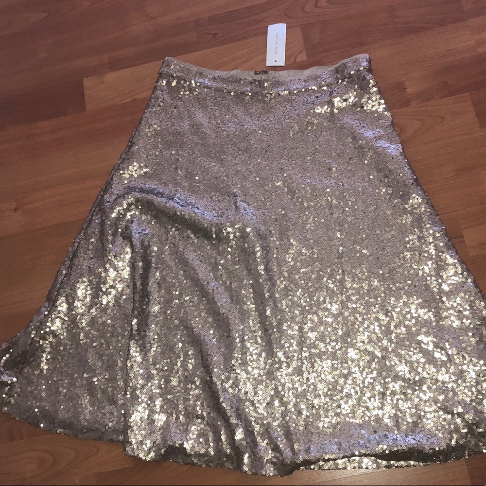 Gold sparkly skirt (long) ANN TAYLOR!